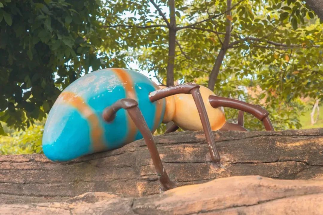 广州乐园游乐场_广州游乐园_广州游乐园在哪里