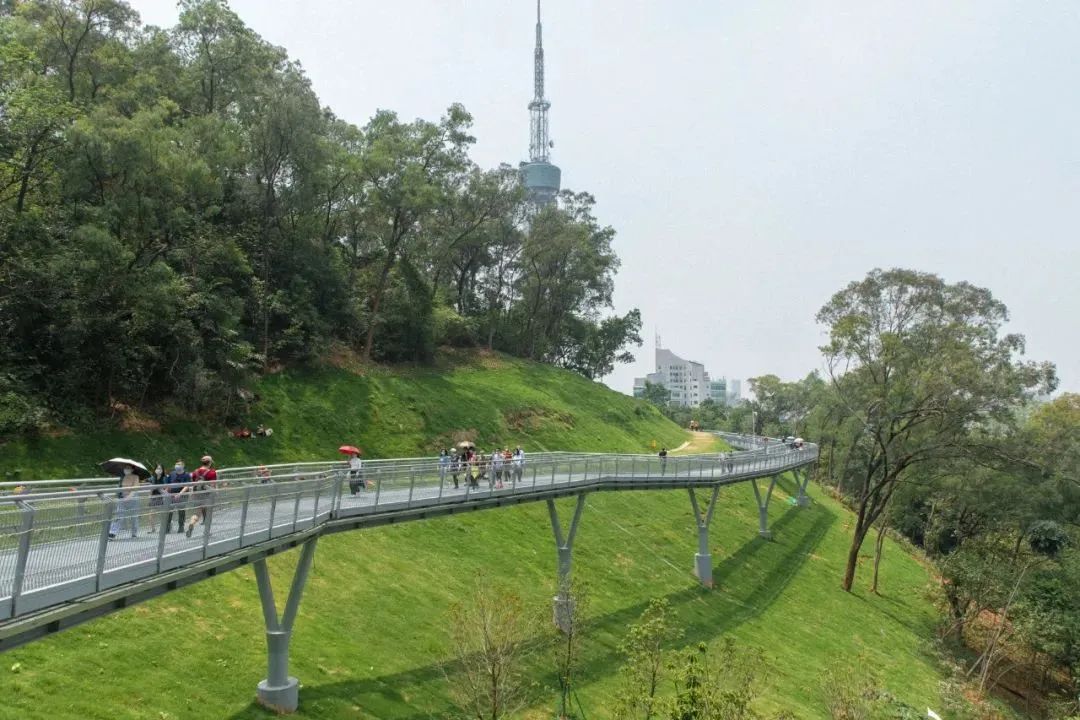 广州乐园游乐场_广州游乐园_广州游乐园在哪里