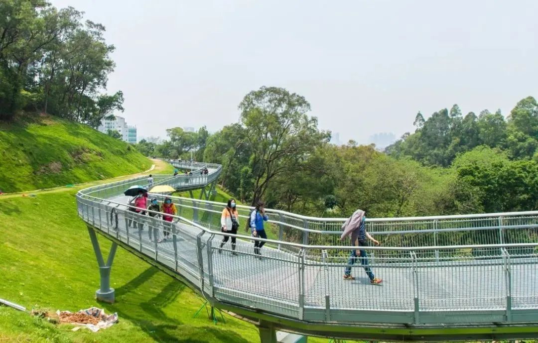 广州游乐园_广州游乐园在哪里_广州乐园游乐场