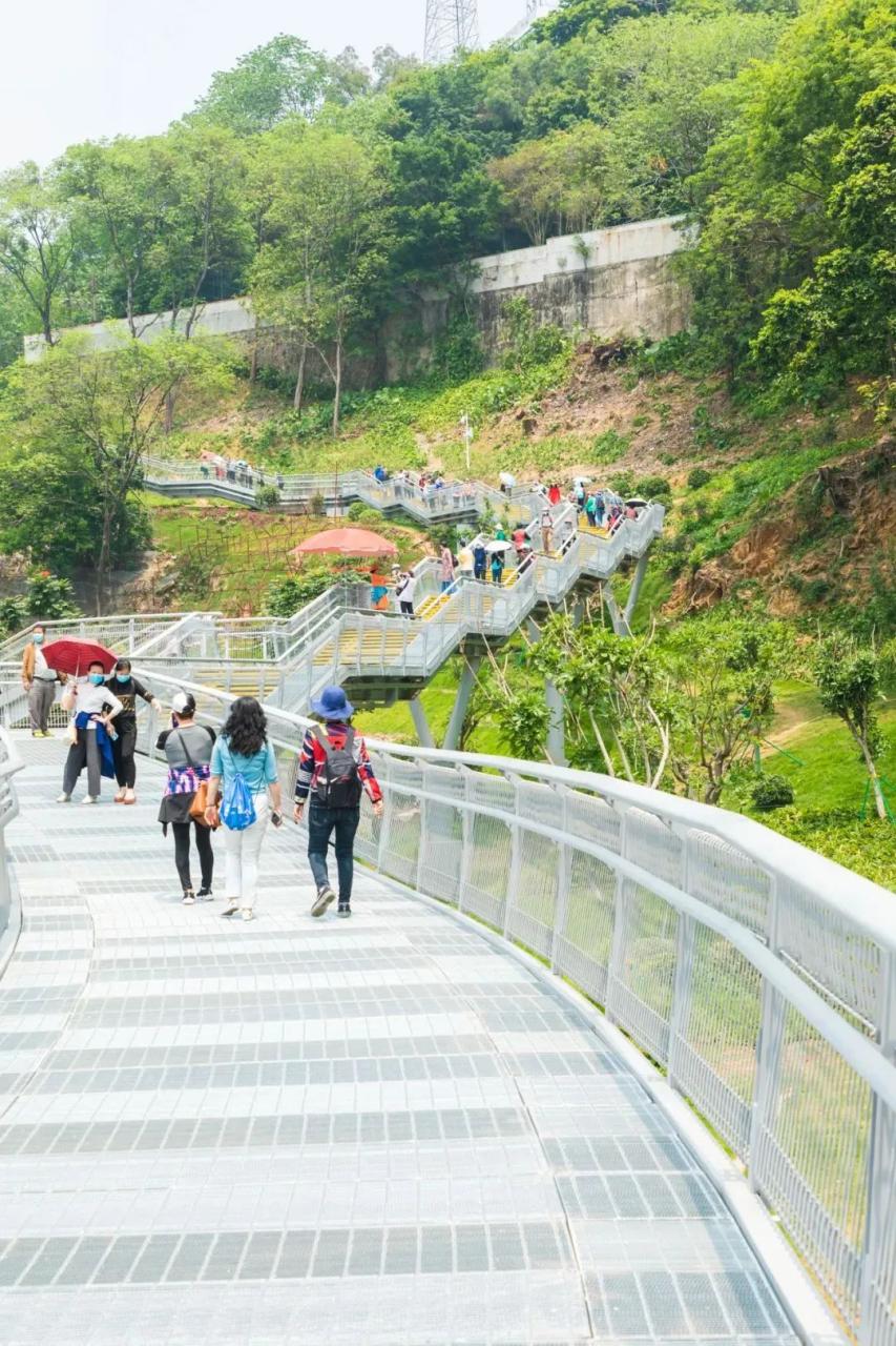 广州游乐园在哪里_广州游乐园_广州乐园游乐场