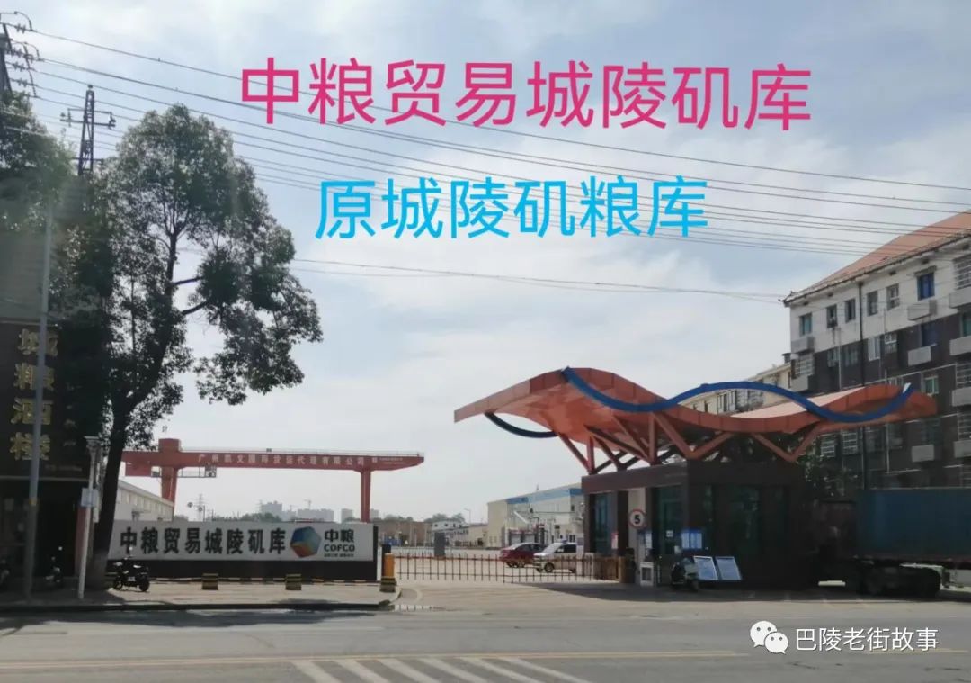 旧粮票在哪里回收 国家粮票库，岳阳鲜为人知的秘密