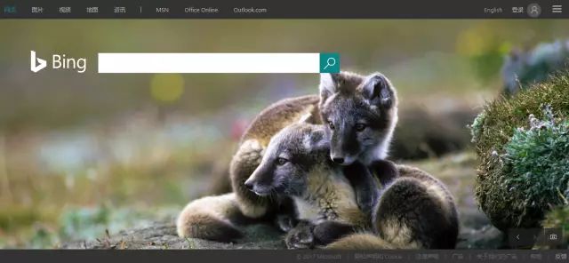 全球搜推广怎么样_全球搜推广_全球推广平台