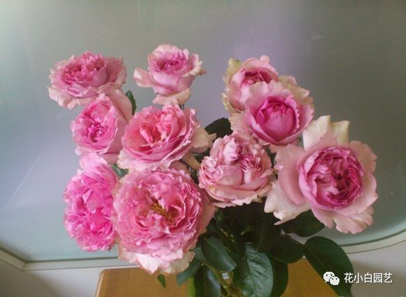 女主穿越圣斗士幻塔索斯_圣斗士幻塔索斯_幻塔索斯