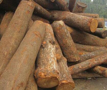 斑马木_斑马木和乌金木的区别_斑马木属于什么档次