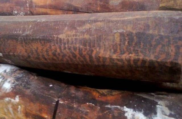 斑马木属于什么档次_斑马木和乌金木的区别_斑马木