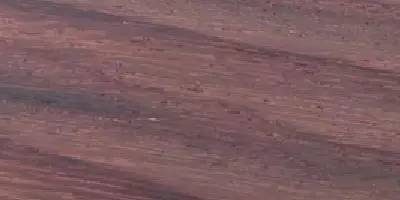 斑马木_斑马木和乌金木的区别_斑马木属于什么档次