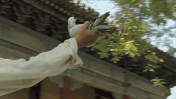 姜文2020新电影_电影姜文最新作品_姜文最新电影