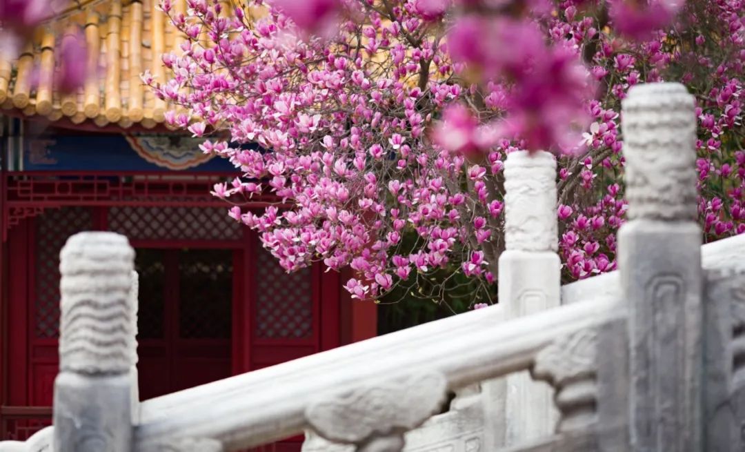 老年专列旅游团_老年专列旅游路线推荐_老年专列旅游