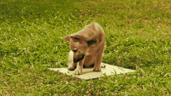 穿越电影_电影穿越小说_电影穿越烽火