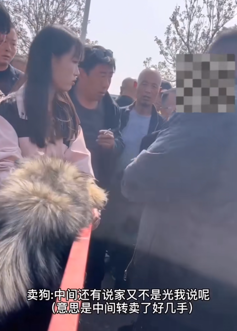 狗狗舔主人手脚意味着什么_狗狗币_狗狗