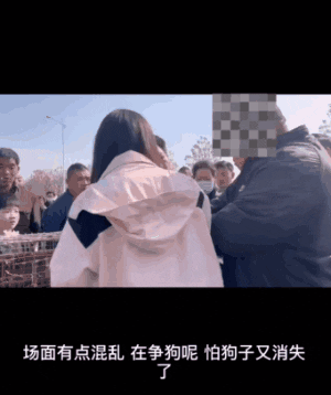 狗狗币_狗狗舔主人手脚意味着什么_狗狗