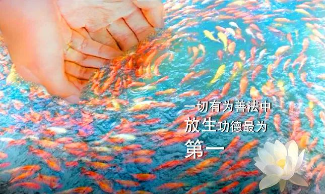 重生缠缚片段_重生缠缚_重生之缠缚