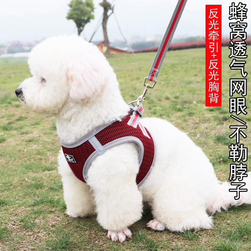 狗狗_狗狗舔主人手脚意味着什么_狗狗币