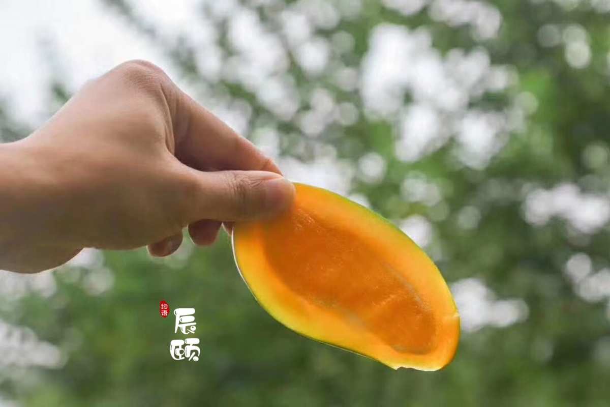 高楼迷长沙 长沙强力打造“浏阳河”标签，东部走廊原来是一条水廊