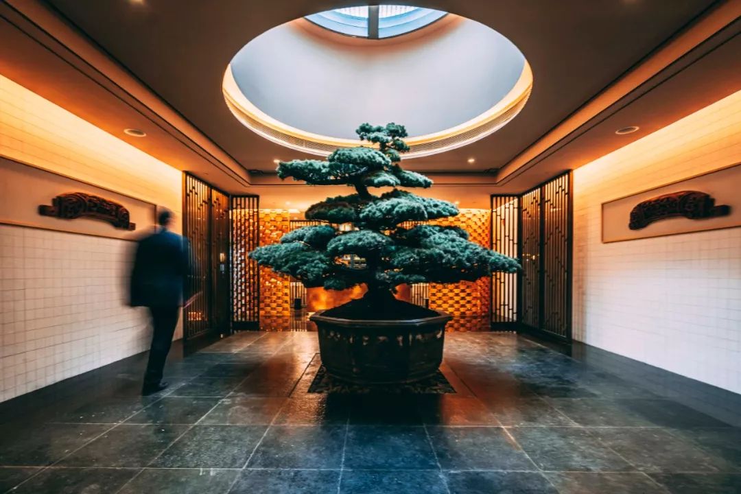 上海酒店深坑酒店_上海深坑酒店价格_深坑酒店上海