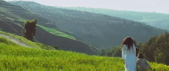 被投石的索拉雅原型后续影响_投石索拉雅_被投石处死的索拉雅