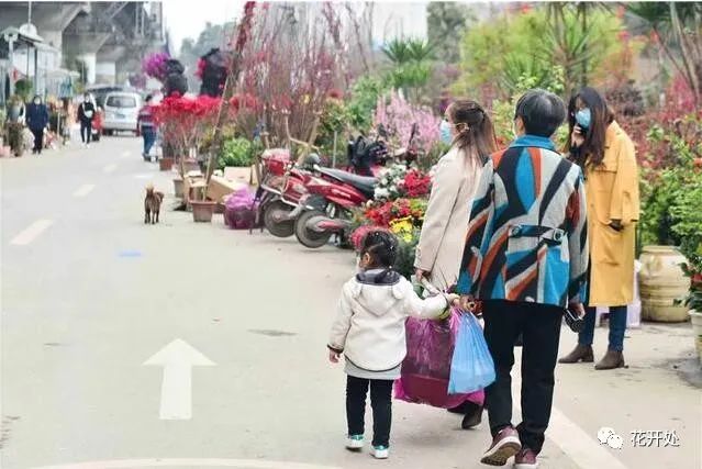 三圣花乡花卉市场在哪里_三圣花乡哪个景区好玩_三圣花乡