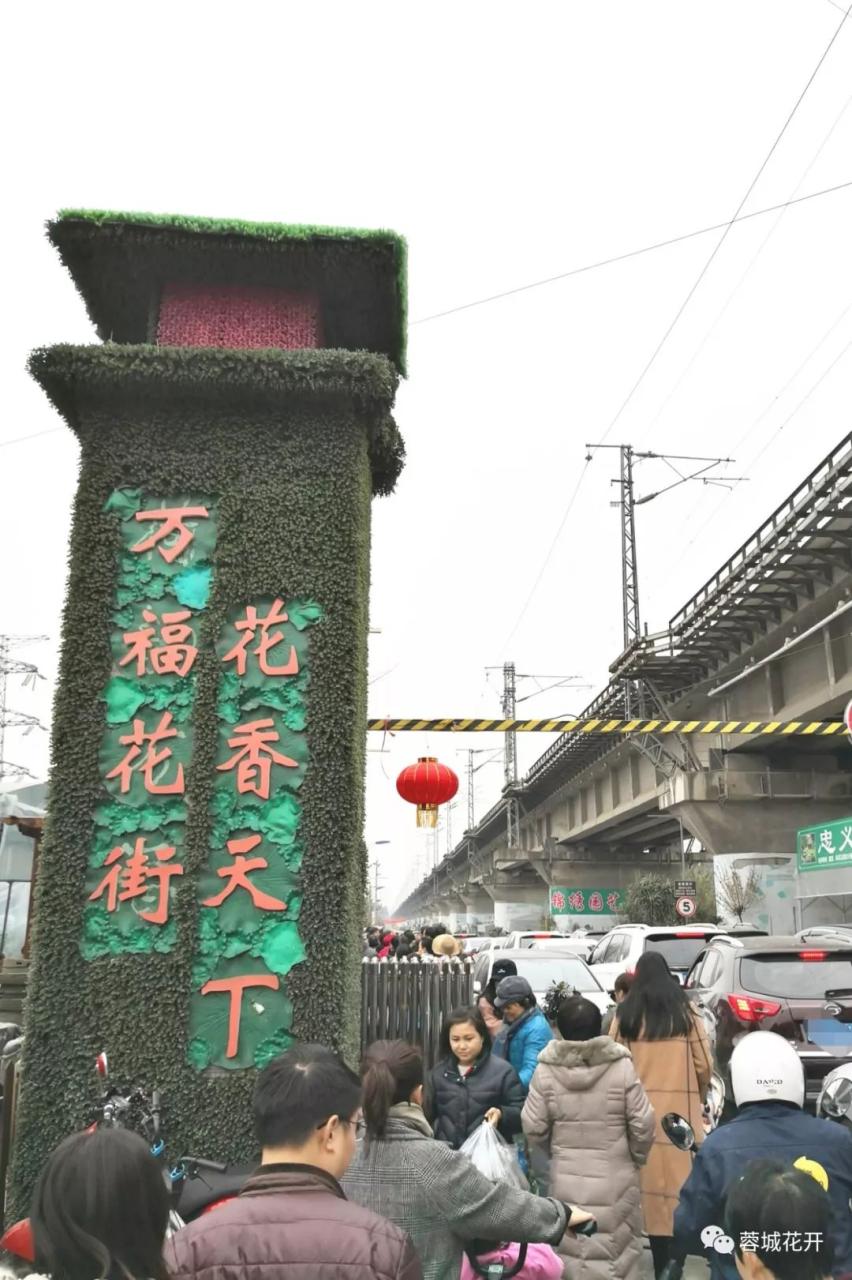 三圣花乡花卉市场在哪里_三圣花乡_三圣花乡哪个景区好玩