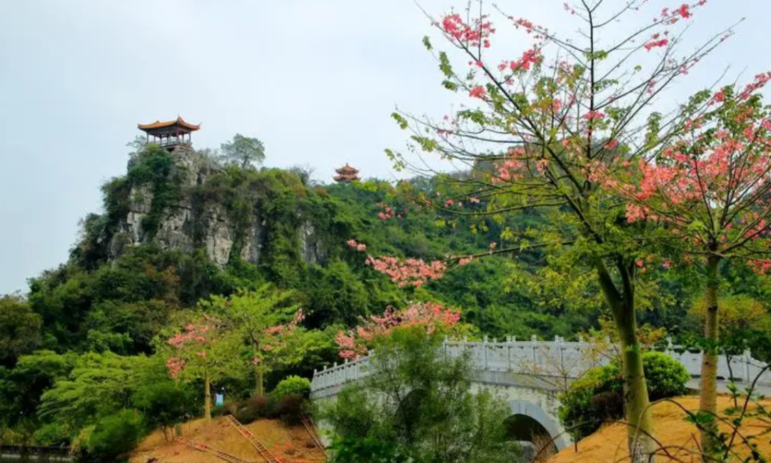 柳州喷泉音乐曲目_柳州音乐喷泉_柳州音乐喷泉介绍
