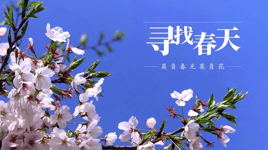 字体微软雅黑可以商用么_微软雅黑字体可以商用吗_用微软雅黑字体属于侵权吗