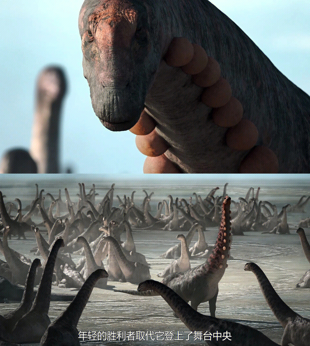 好看美国大片_好看的美国大片儿_大片好看美国在线观看