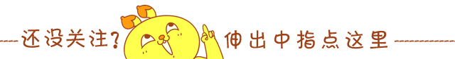 狗狗图片ins_狗狗图片萨摩耶漂亮_萨摩耶狗狗图片
