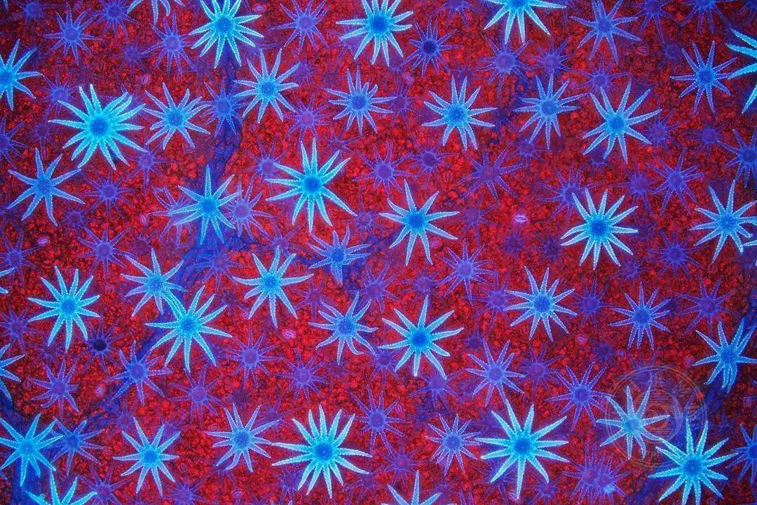 吴哥窟啥意思_吴哥窟国语叫什么_吴哥窟是哪个国家的?