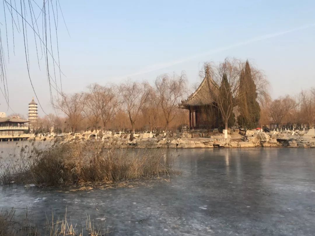 北宁公园旁边的房子是什么_北宁公园最近开了几个门_北宁公园