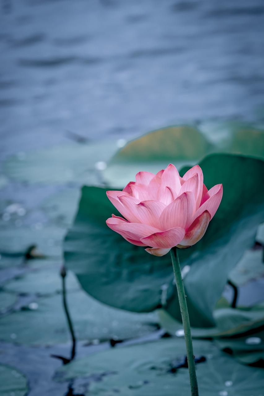 河池市地图_河池市地图最新高清版_河池市地图各县