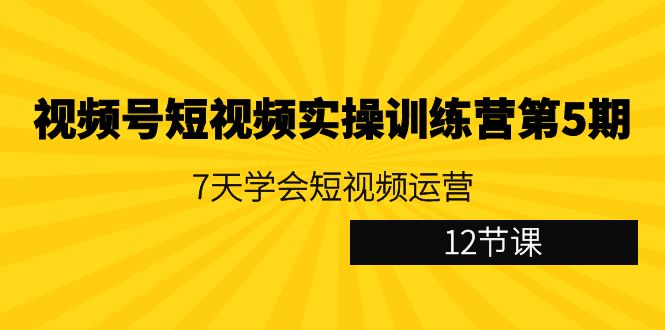 短视频实操训练营第五期：7天学会短视频运营（12节课）