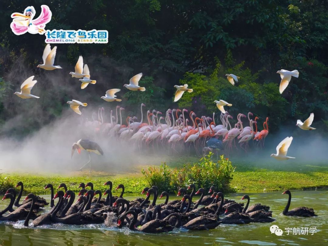 亲子好去处广州_广州亲子旅游景点大全_广州亲子游攻略景点必去