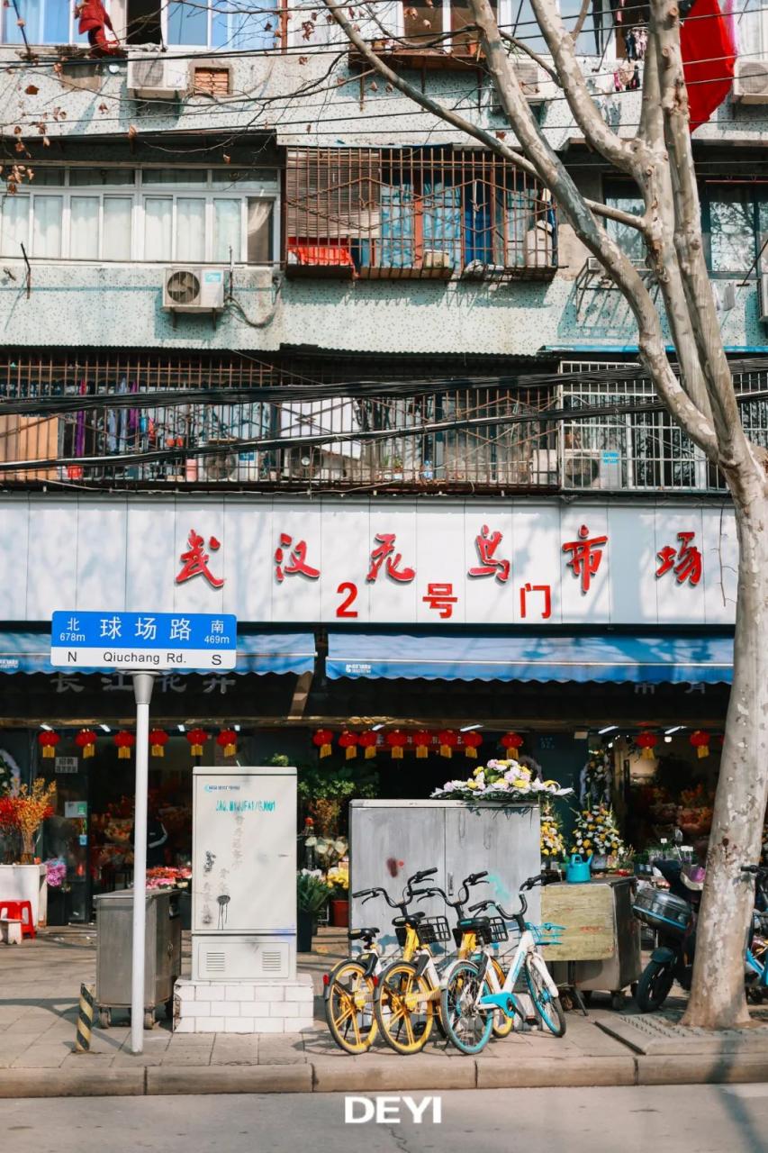 花鸟市场武汉市花鸟市场_武汉花鸟市场_花鸟市场武汉