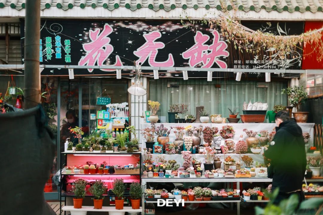 花鸟市场武汉市花鸟市场_武汉花鸟市场_花鸟市场武汉