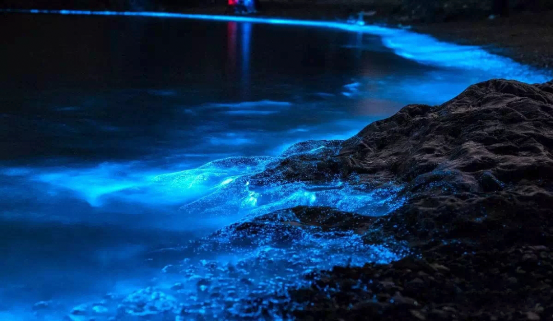 平潭岛旅游攻略二日游_平潭岛几日游_平潭岛一日游