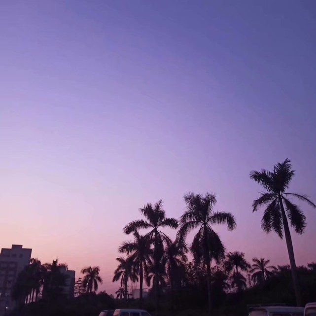 咏梅老公_咏梅的老公峦树_咏梅男友