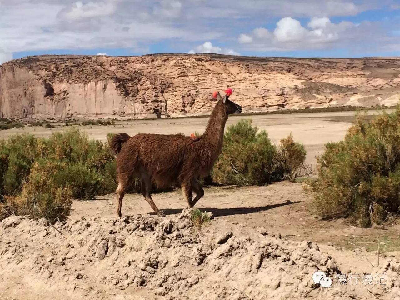玻利维亚天空之镜_玻利维亚天空之镜图片星愿心语_波利维亚天空之镜