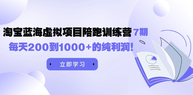 淘宝蓝海虚拟项目陪跑训练营 7 期 每天200到1000+的纯利润