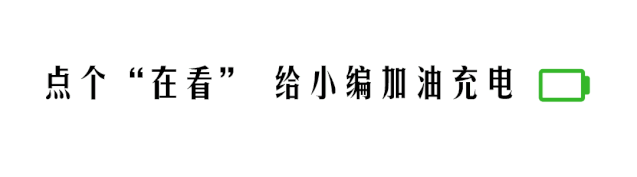 荣耀60se多少钱_荣耀钱包官网_荣耀钱包有什么用