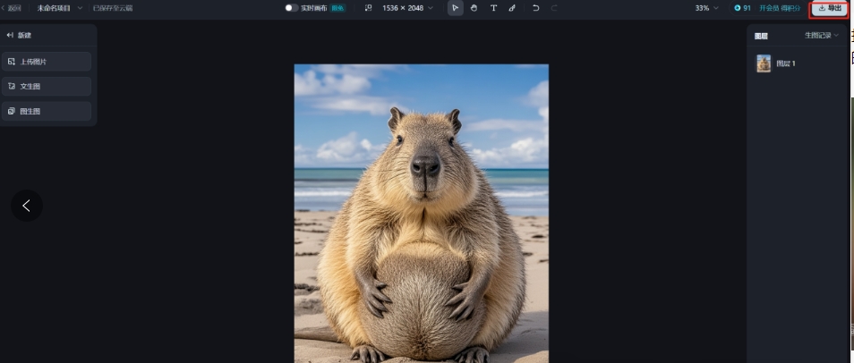 5分钟教你利用豆包+即梦+vidu云养抖音10w+超真实卡皮巴拉萌宠(含完整的操作步骤)6927 作者:福缘资源库 帖子ID:113144 