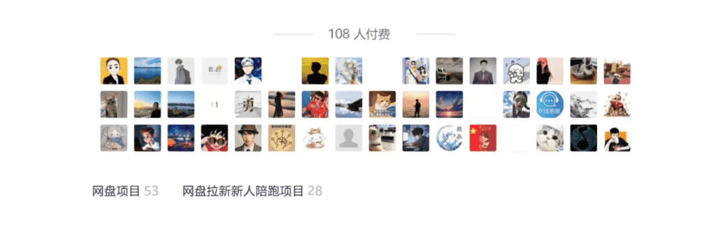 公众号网盘拉新被动流量玩法，某付费文章