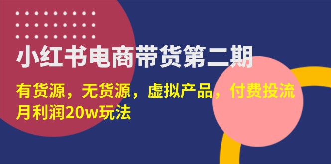 ，有货源，无货源，虚拟产品，付费投流，月利润20w