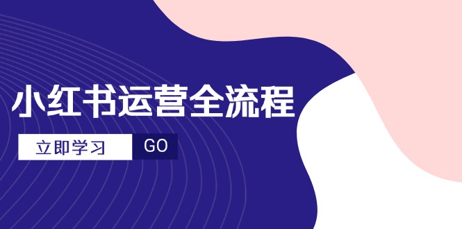 小红书运营全流程，爆款选题文案，视频制作技巧，进阶达人宝典