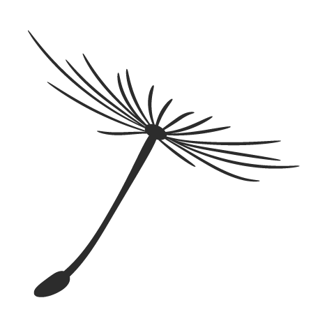 Gucci种族歧视问题_多元化负责人任命_adrive