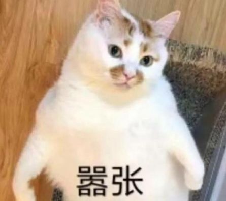 英语翻译公众号推荐_网络用语翻译案例_7zcracker