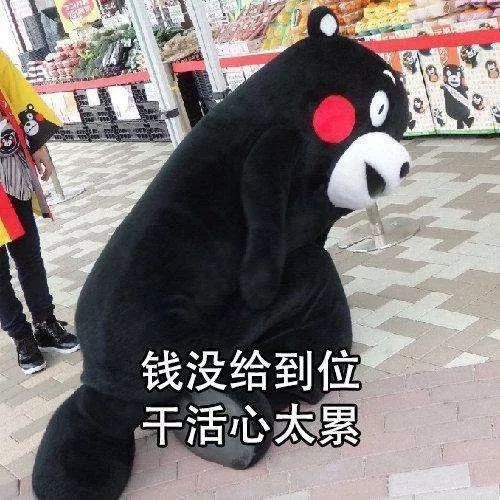 英语翻译公众号推荐_网络用语翻译案例_7zcracker