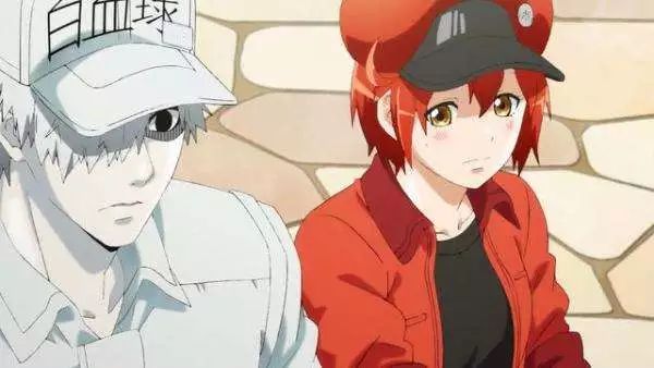 happysugarlife_7月新番CP排名_动漫角色CP榜单