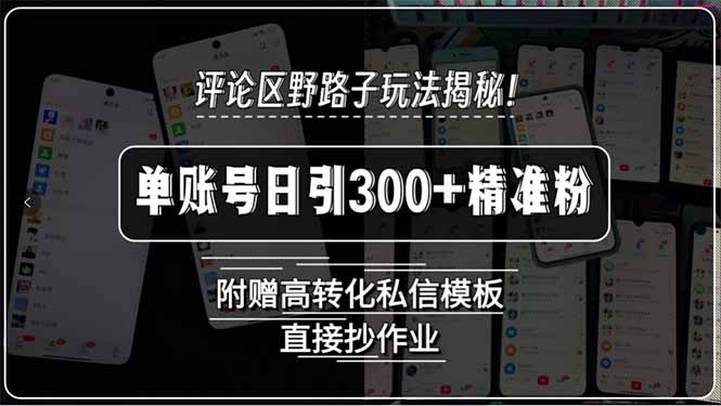 评论区野路子玩法揭秘！单账号日引300+精准粉，附赠高转化私信模板，直…