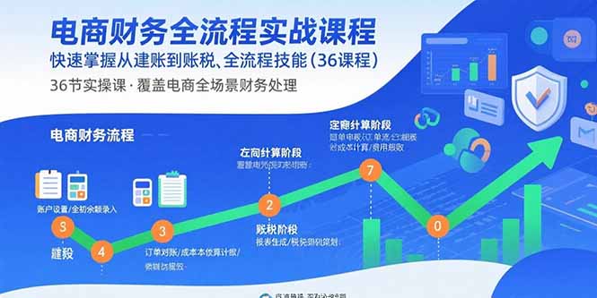 电商财务全流程实战课程：快速掌握从建账到报税的全流程技能（36节课）